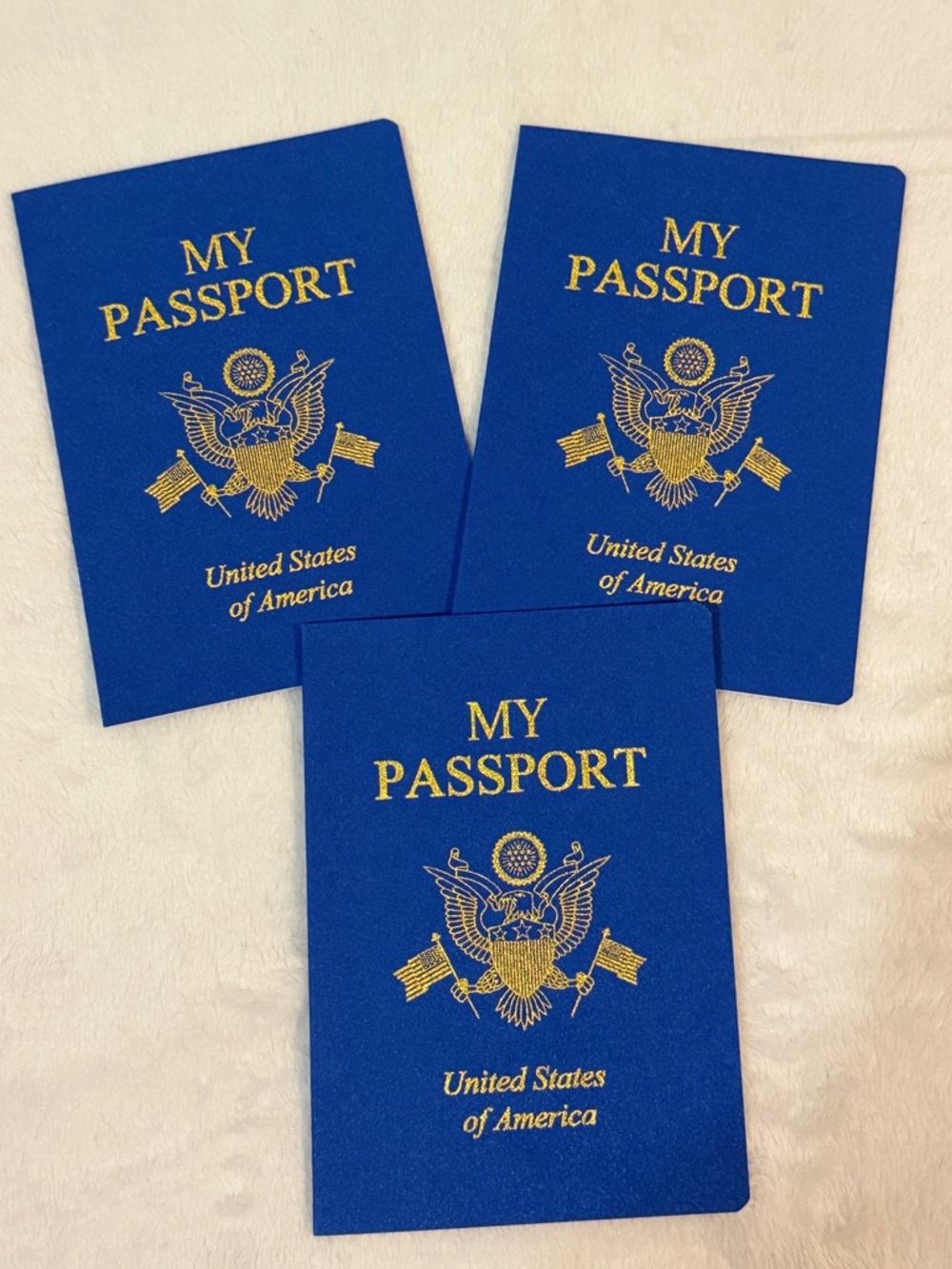 DIY Travel Passport- Blank Blue Passport-Style Notebooks with Gold Emblem